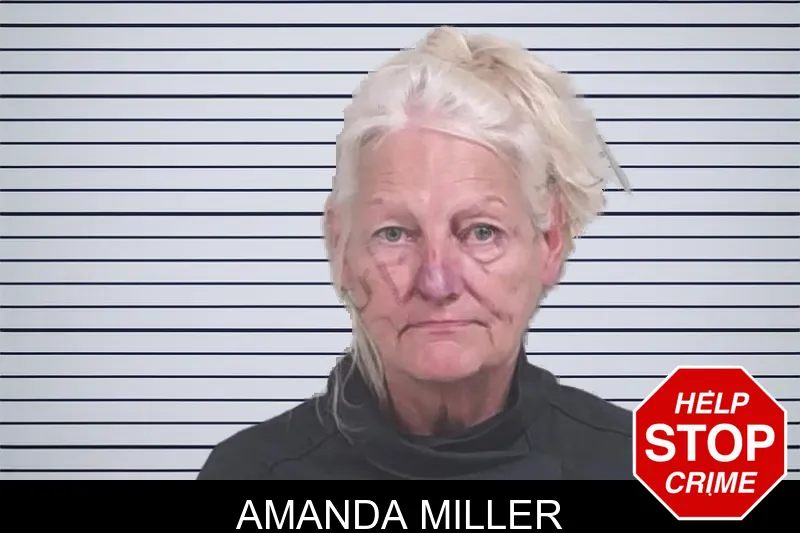 Amanda Miller mugshot