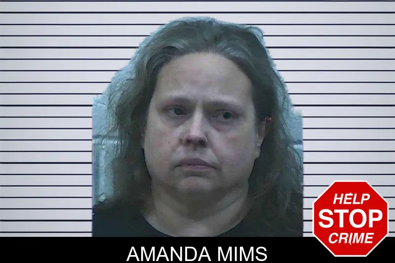 Amanda Mims mugshot