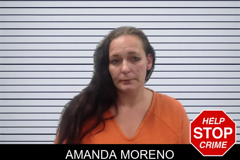 Amanda Moreno mugshot