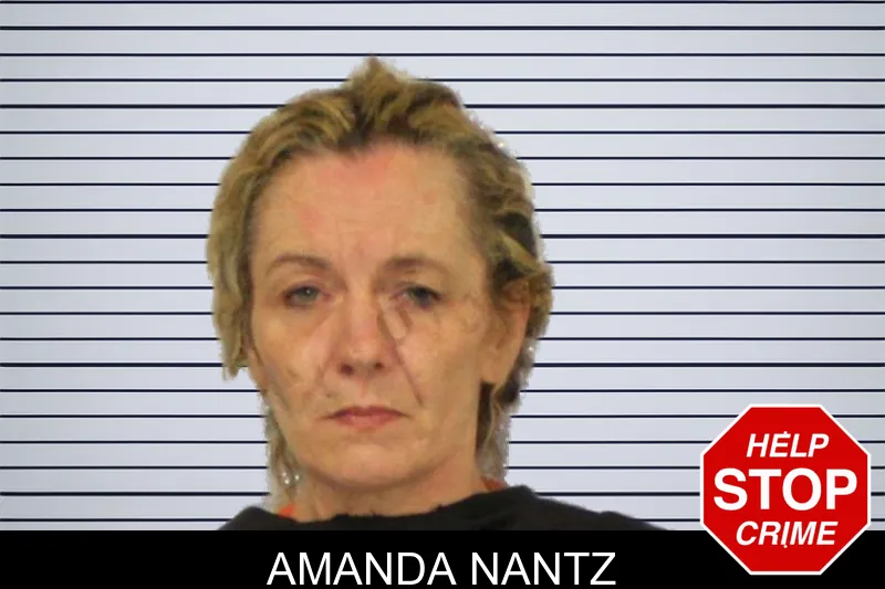 Amanda Nantz mugshot