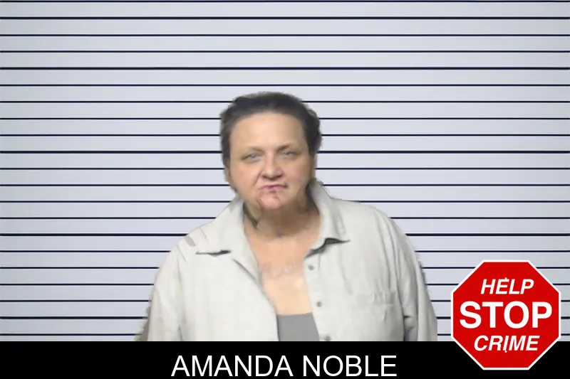 Amanda Noble mugshot – DeKalb County , Georgia Amanda Noble mugshot