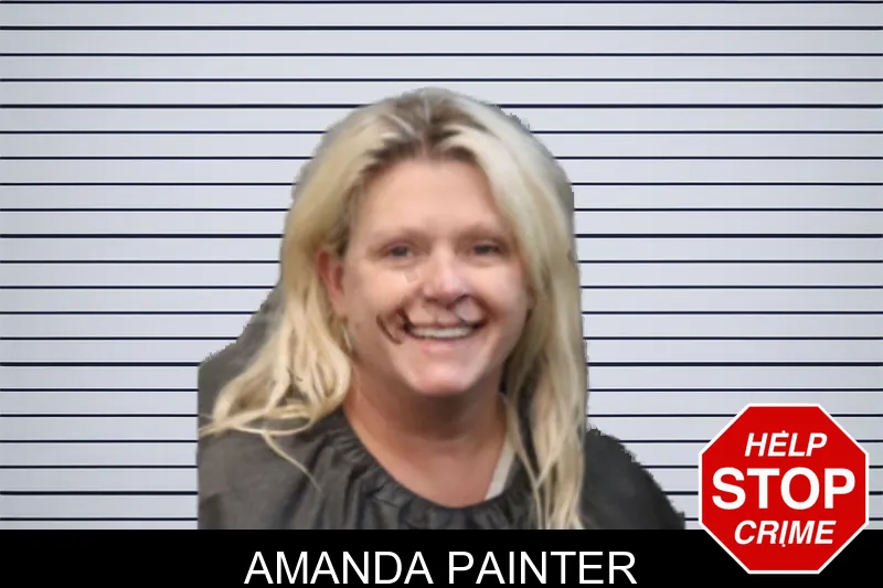 Amanda Painter mugshot – Forsyth County , Georgia Amanda Painter mugshot