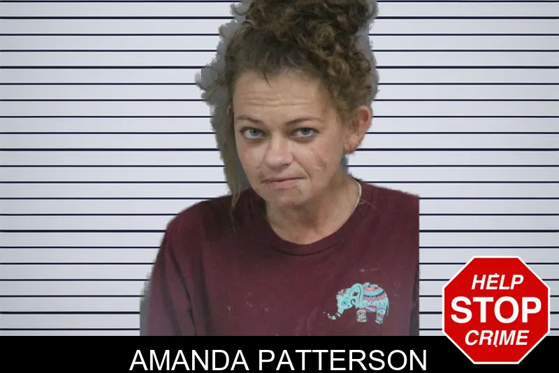 Amanda Patterson mugshot – Catoosa County , Georgia Amanda Patterson mugshot