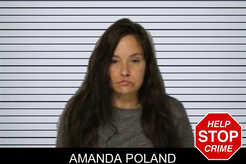 Amanda Poland mugshot