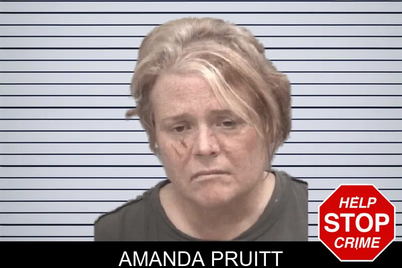 Amanda Pruitt mugshot – Columbia County , Georgia Amanda Pruitt mugshot