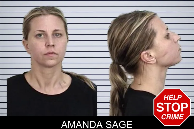 Amanda Sage mugshot – Camden County , Georgia Amanda Sage mugshot