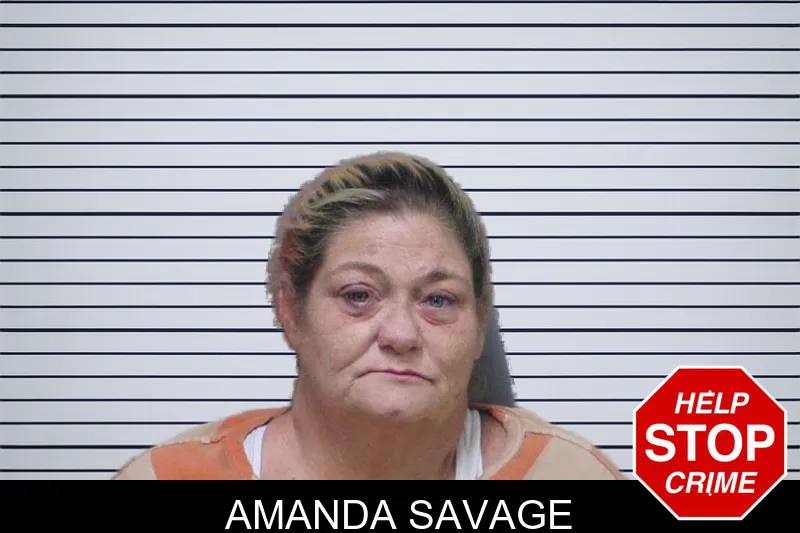 Amanda Savage mugshot – White County , Georgia Amanda Savage mugshot