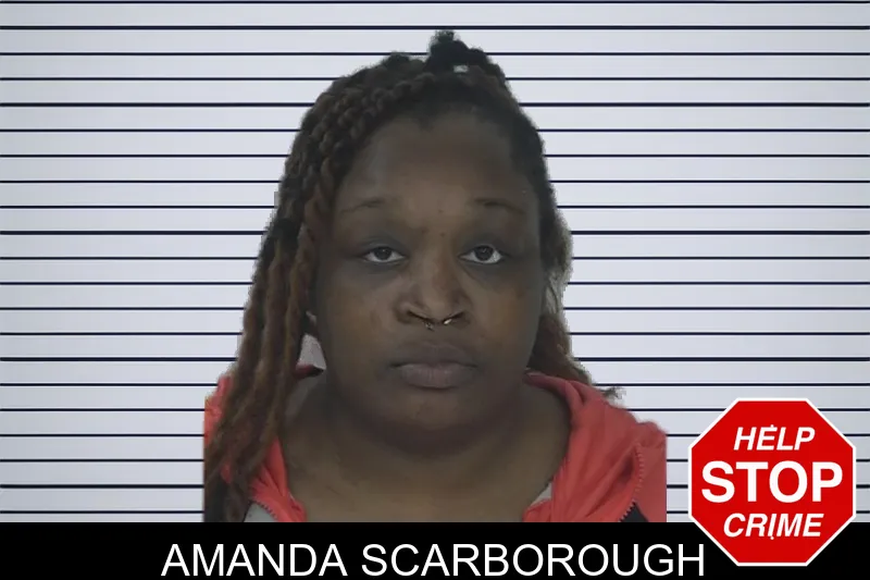 Amanda Scarborough mugshot