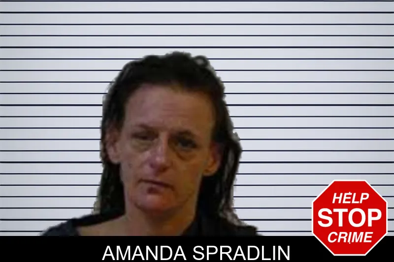 Amanda Spradlin mugshot