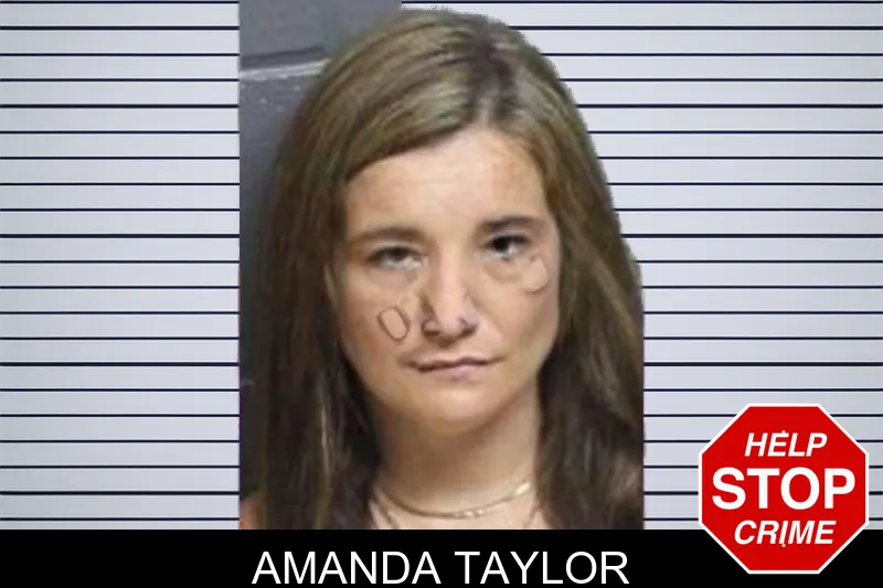Amanda Taylor mugshot – Bacon County , Georgia Amanda Taylor mugshot