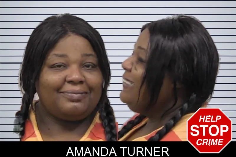 Amanda Turner mugshot