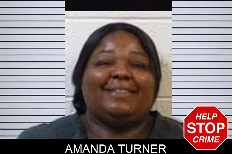 Amanda Turner mugshot