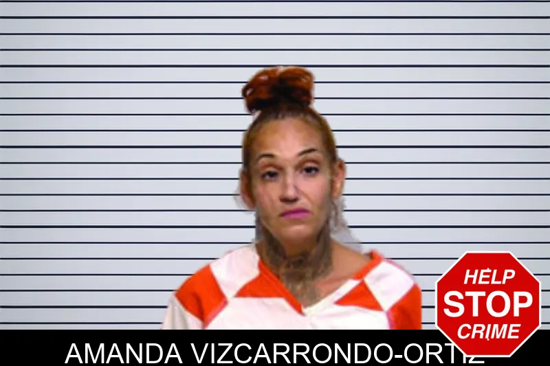 Amanda Vizcarrondo-Ortiz mugshot