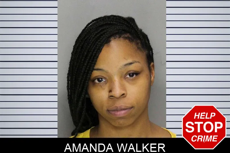 Amanda Walker mugshot
