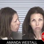Amanda Westall mugshot