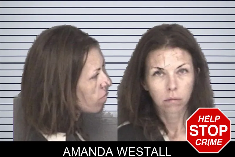 Amanda Westall mugshot