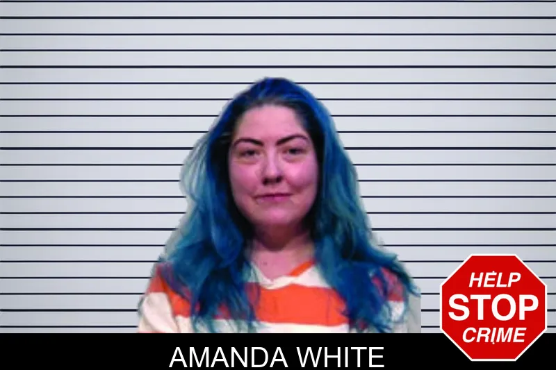 Amanda White mugshot