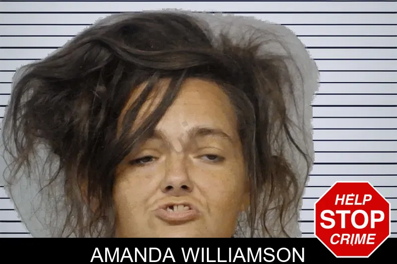 Amanda Williamson mugshot – Bibb County , Georgia Amanda Williamson mugshot
