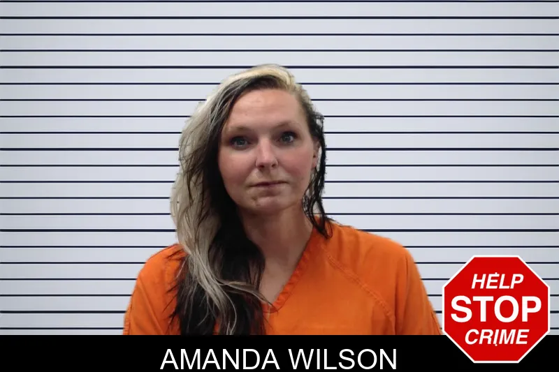 Amanda Wilson mugshot