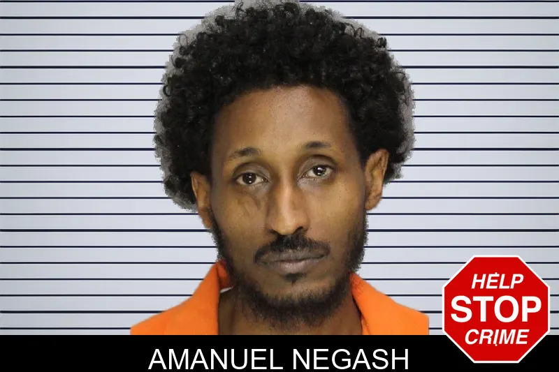 Amanuel Negash mugshot