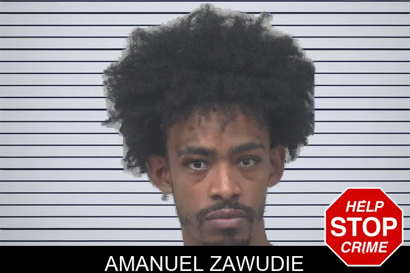 Amanuel Zawudie mugshot