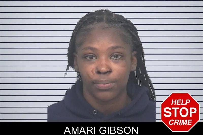 Amari Gibson mugshot