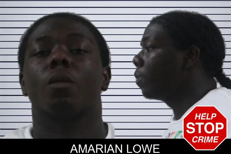Amarian Lowe mugshot – Houston County , Georgia Amarian Lowe mugshot