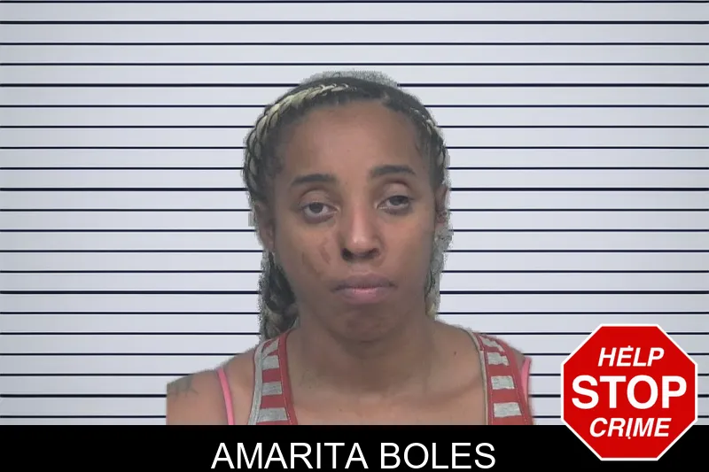 Amarita Boles mugshot – Gwinnett County , Georgia Amarita Boles mugshot
