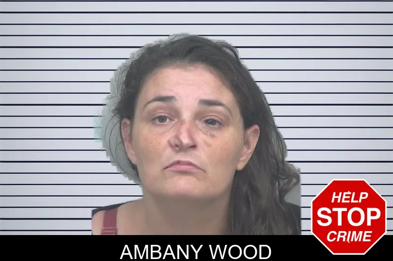 Ambany Wood mugshot – Gwinnett County , Georgia Ambany Wood mugshot