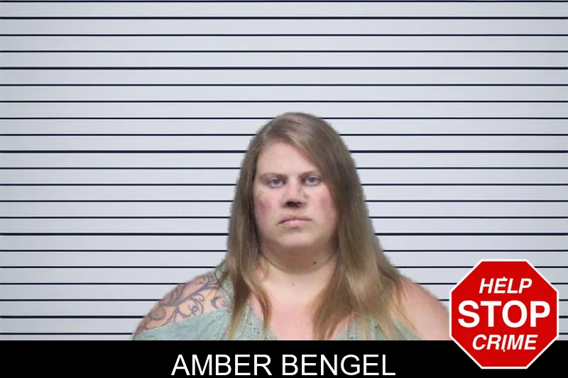 Amber Bengel mugshot – White County , Georgia Amber Bengel mugshot
