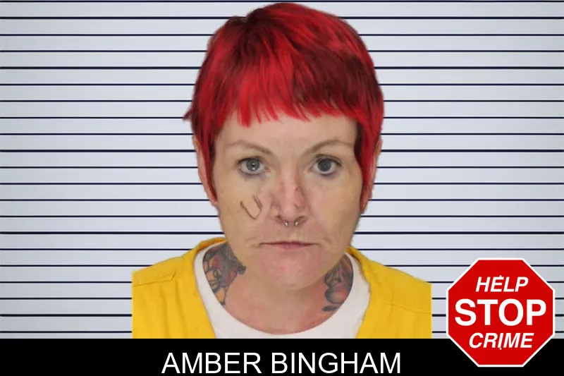 Amber Bingham mugshot