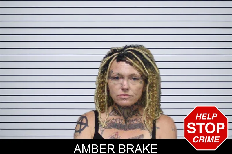Amber Brake mugshot – White County , Georgia Amber Brake mugshot