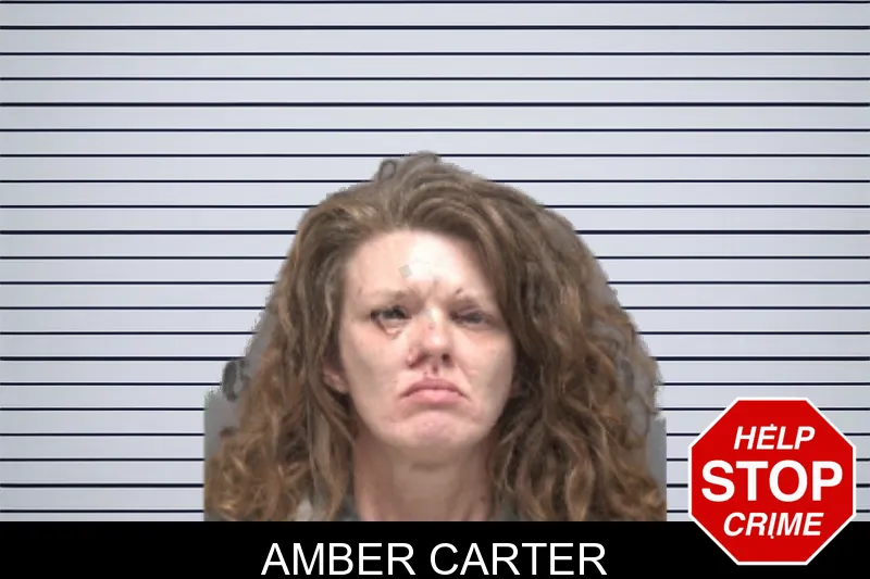 Amber Carter mugshot
