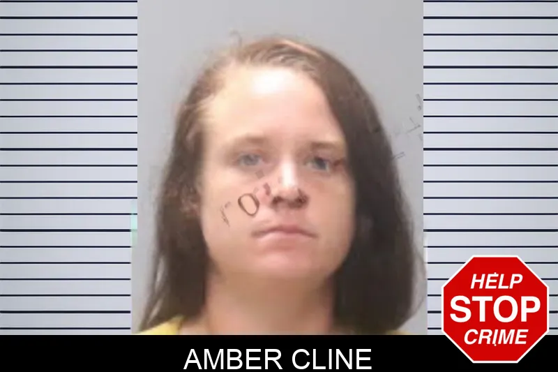Amber Cline mugshot