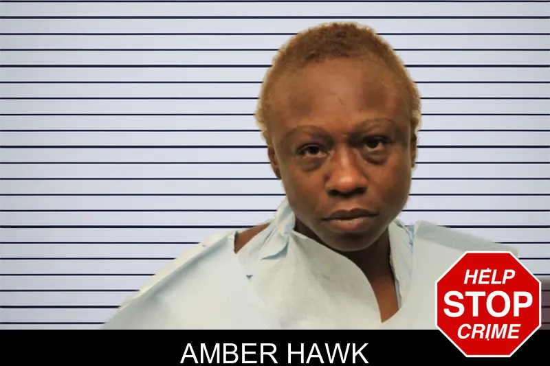 Amber Hawk mugshot – Chatham County , Georgia Amber Hawk mugshot