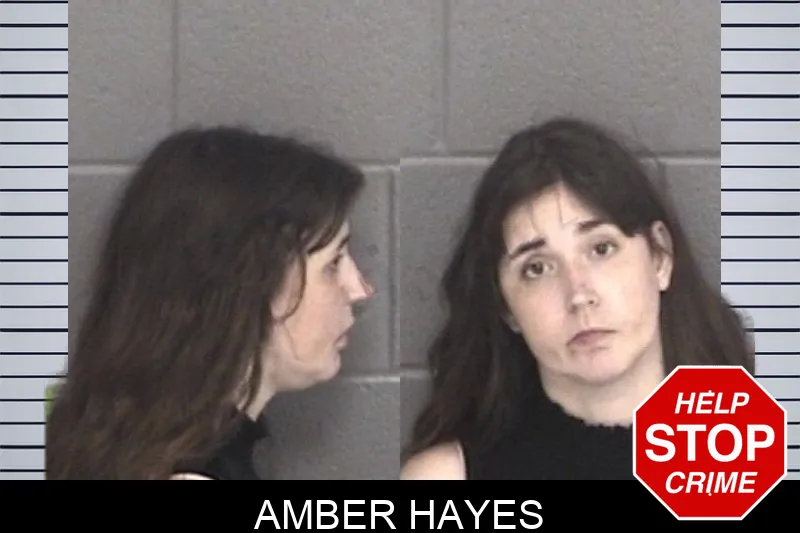 Amber Hayes mugshot