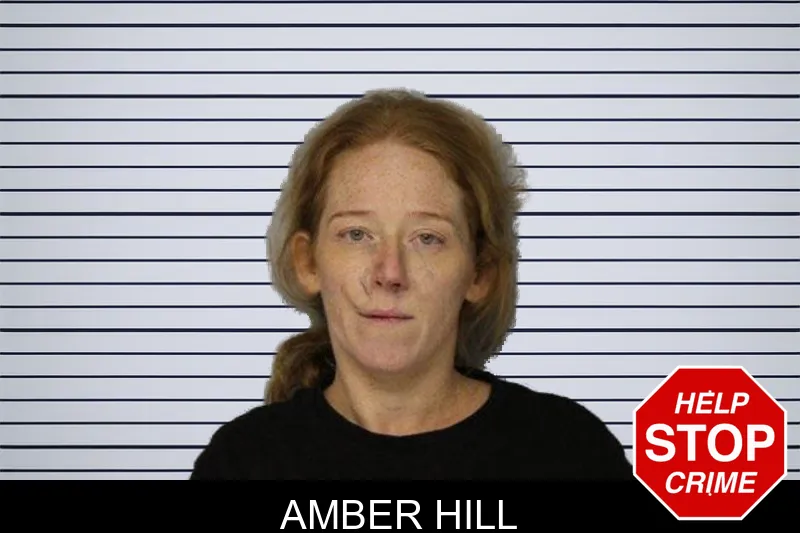 Amber Hill mugshot – Hall County , Georgia Amber Hill mugshot
