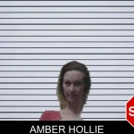 Amber Hollie mugshot – Meriwether County , Georgia Amber Hollie mugshot