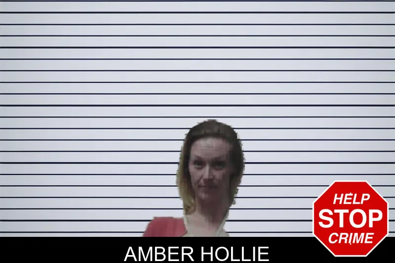 Amber Hollie mugshot – Meriwether County , Georgia Amber Hollie mugshot