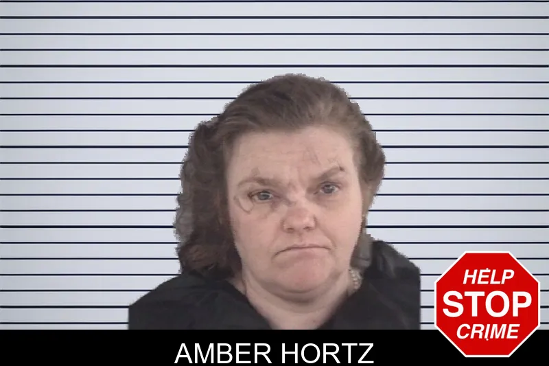 Amber Hortz mugshot