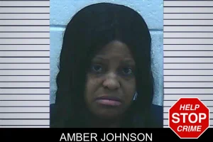 Amber Johnson mugshot