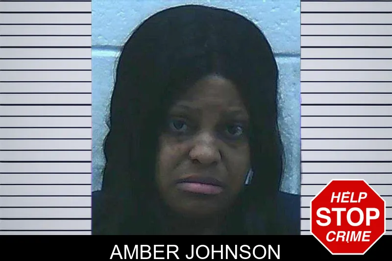 Amber Johnson mugshot – Jackson County , Georgia Amber Johnson mugshot