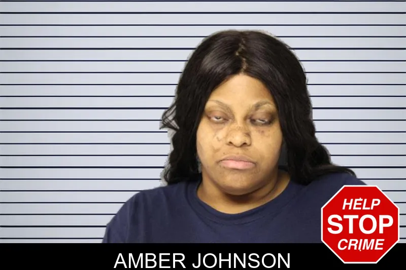Amber Johnson mugshot – Hall County , Georgia Amber Johnson mugshot