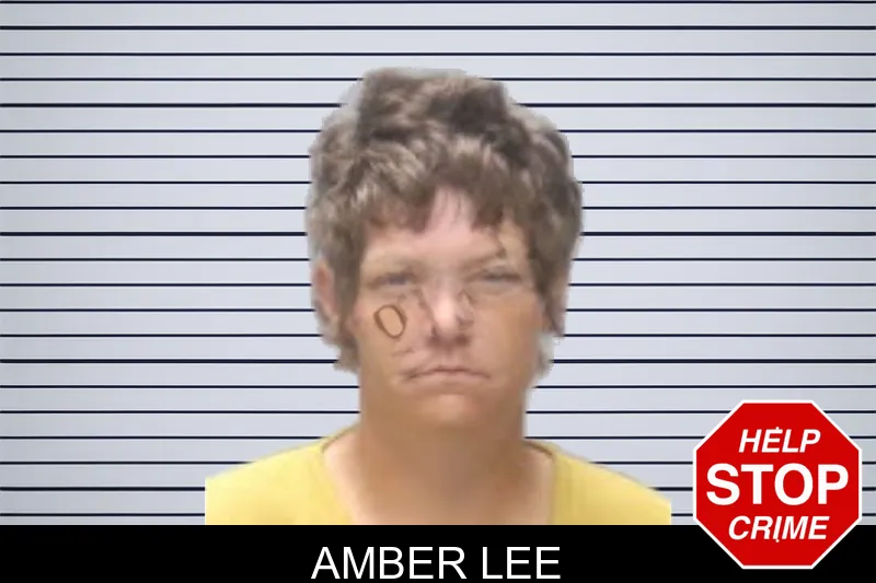 Amber Lee mugshot