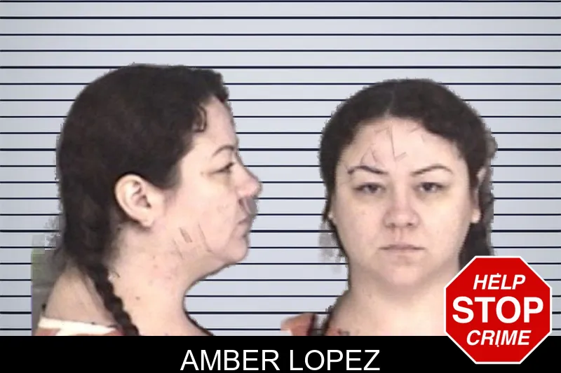 Amber Lopez mugshot – Barrow County , Georgia Amber Lopez mugshot