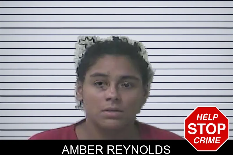 Amber Reynolds mugshot