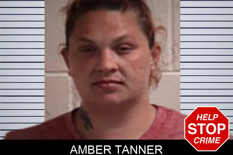 Amber Tanner mugshot – Henry County , Georgia Amber Tanner mugshot