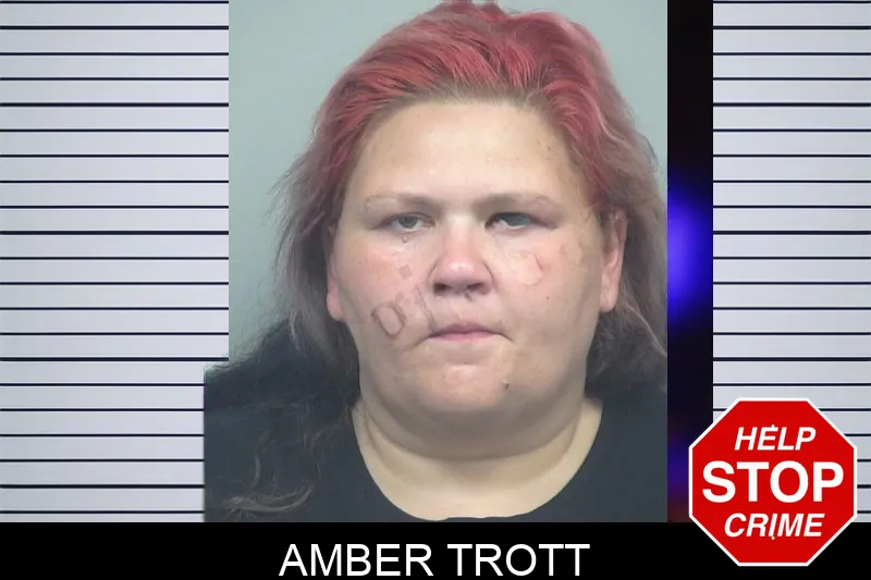 Amber Trott mugshot – Gwinnett County , Georgia Amber Trott mugshot