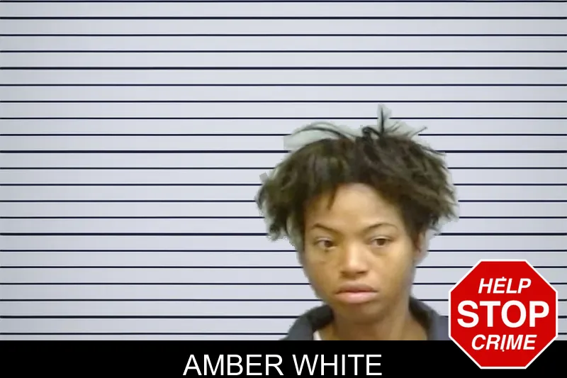 Amber White mugshot