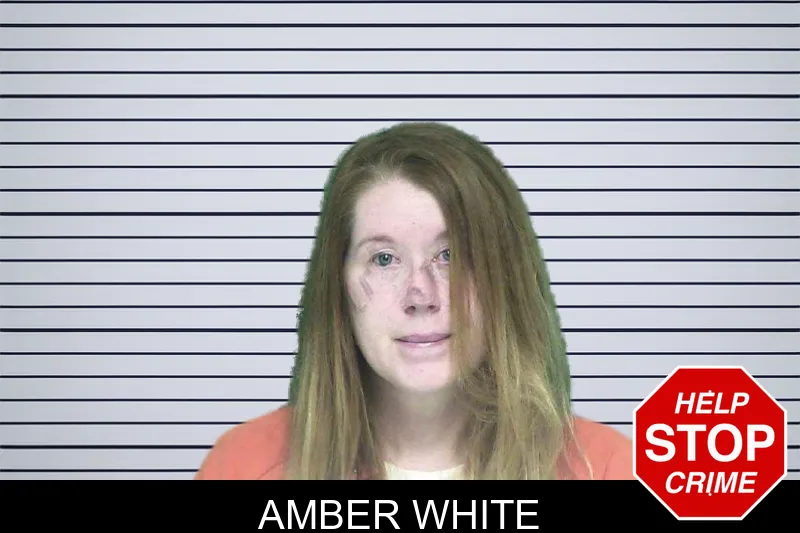 Amber White mugshot – Appling County , Georgia Amber White mugshot